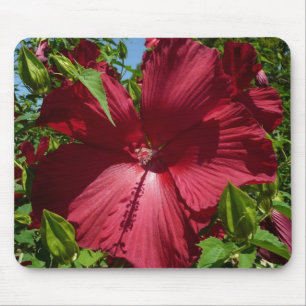 Hibiskus Blume und Blue Sky Mousepad