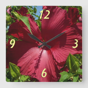 Hibiskus Blume und Blue Sky Quadratische Wanduhr
