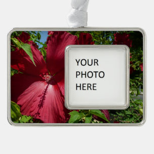 Hibiskus Blume und Blue Sky Rahmen-Ornament Silber