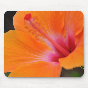 Hibiskus-Blume von Hawaii Mousepad