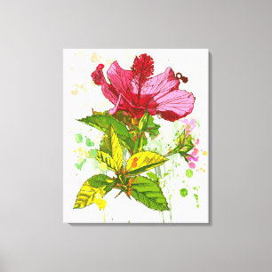 Hibiskus-Blume - Watercolorfarbe 2 Leinwanddruck