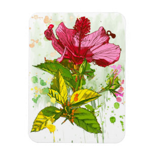Hibiskus-Blume - Watercolorfarbe Magnet