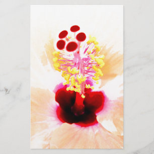 Hibiskus-Blumen-Fotografie Briefpapier