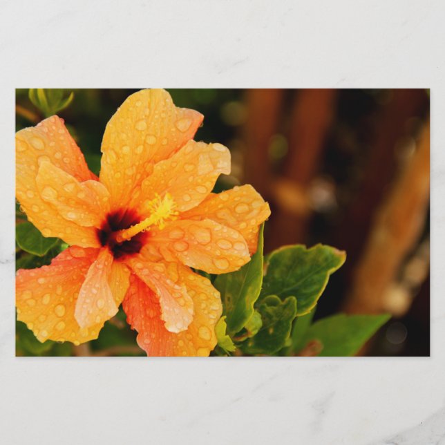 Hibiskus Briefpapier (Vorderseite)