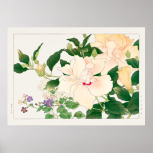 Hibiskus & Buschviolette, Konan, Vintage-Naturkuns Poster