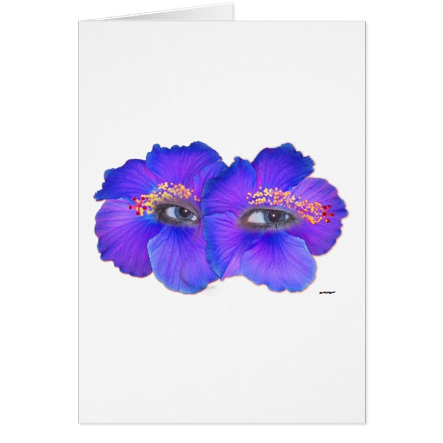 Hibiskus Eyes - Blue (Vorne)