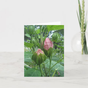 Hibiskus-Fehlerdatenbank-Karte Karte