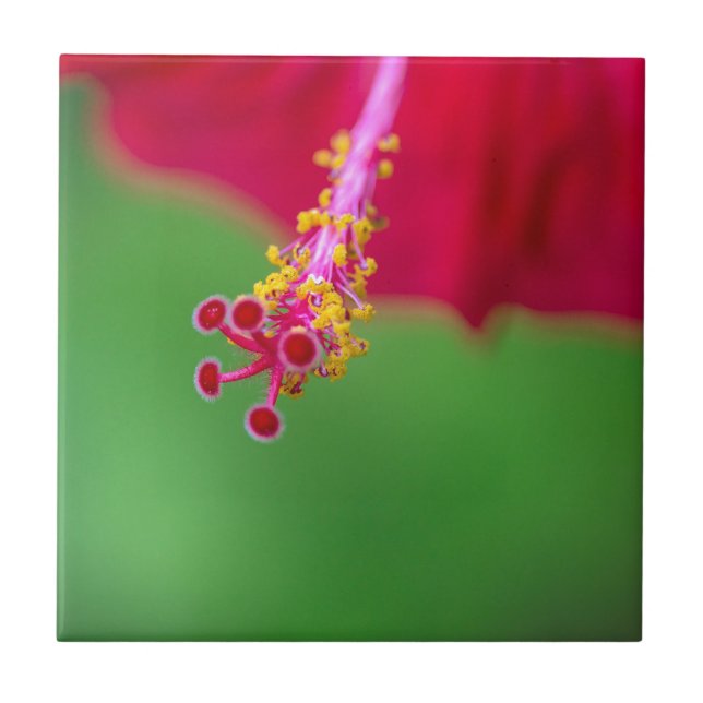 Hibiskus Fliese (Vorderseite)