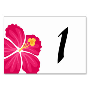 Hibiskus Floower Illustrationen Tischnummer