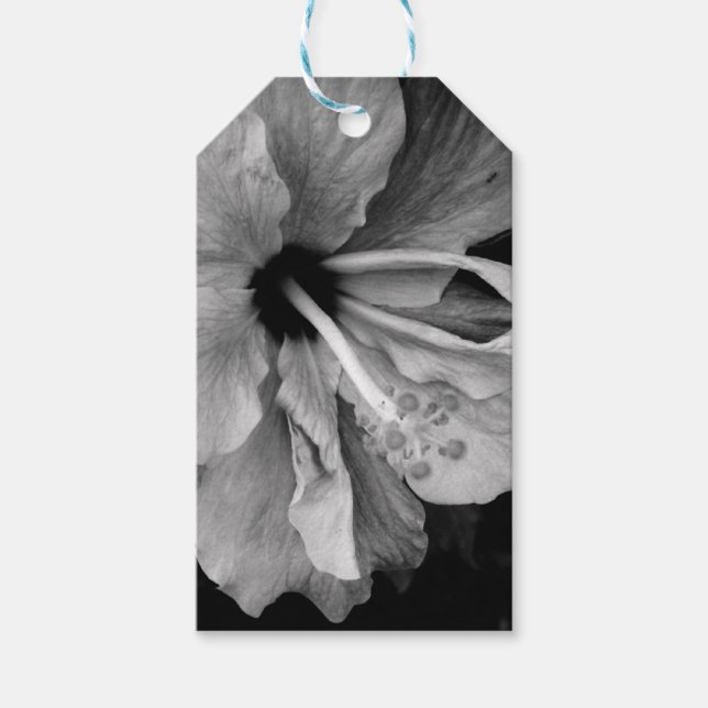 Hibiskus Geschenkanhänger (Vorderseite)
