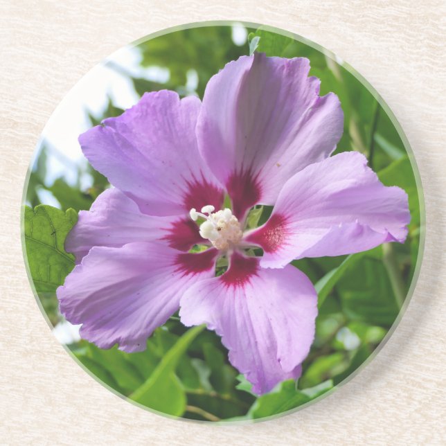 Hibiskus Getränkeuntersetzer (Vorne)