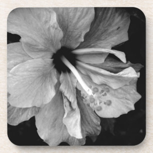 Hibiskus Getränkeuntersetzer