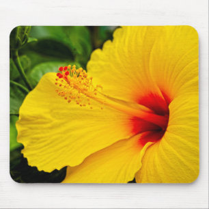 Hibiskus hellgelb mousepad