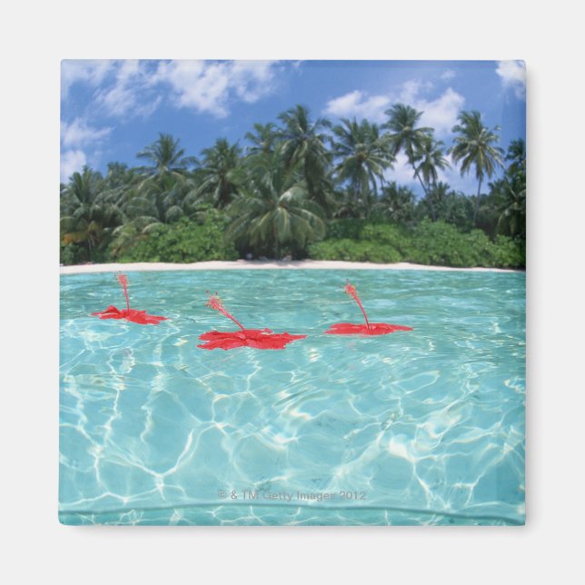 Hibiskus im Meer Magnet (Vorne)