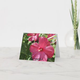 Hibiskus in heiß rosa, Beileid Karte