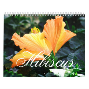 Hibiskus-Kalender Kalender