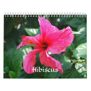 Hibiskus-Kalender Kalender