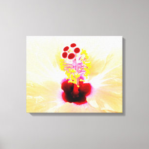 Hibiskus Leinwanddruck