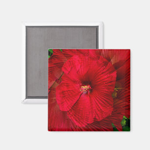 Hibiskus Liebe.... Magnet