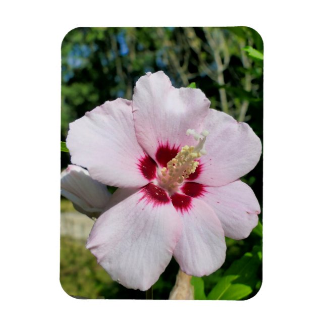 Hibiskus Magnet (Vertikal)