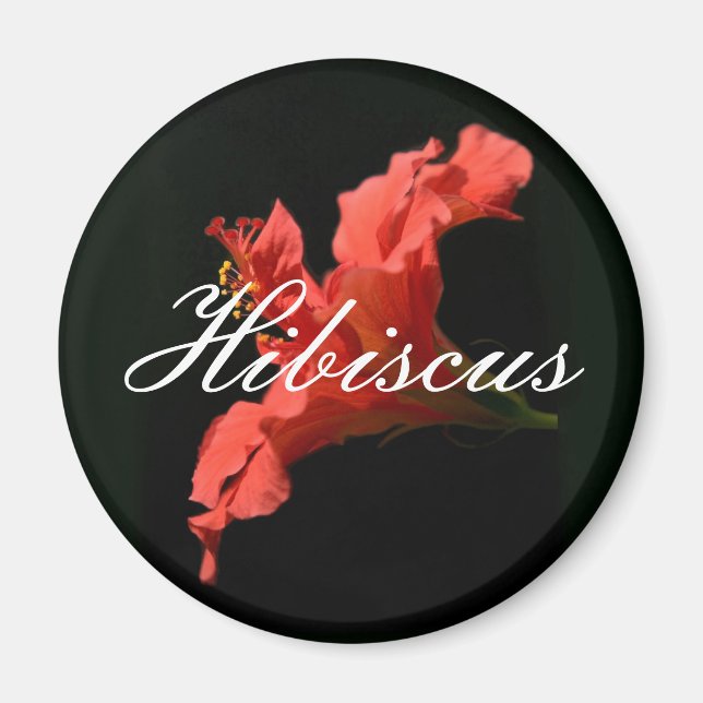 Hibiskus Magnet (Vorne)