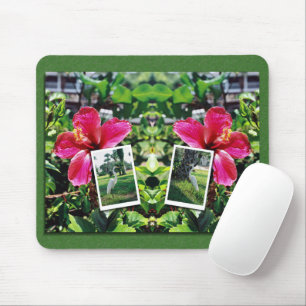 Hibiskus mit Silberreihern Mousepad