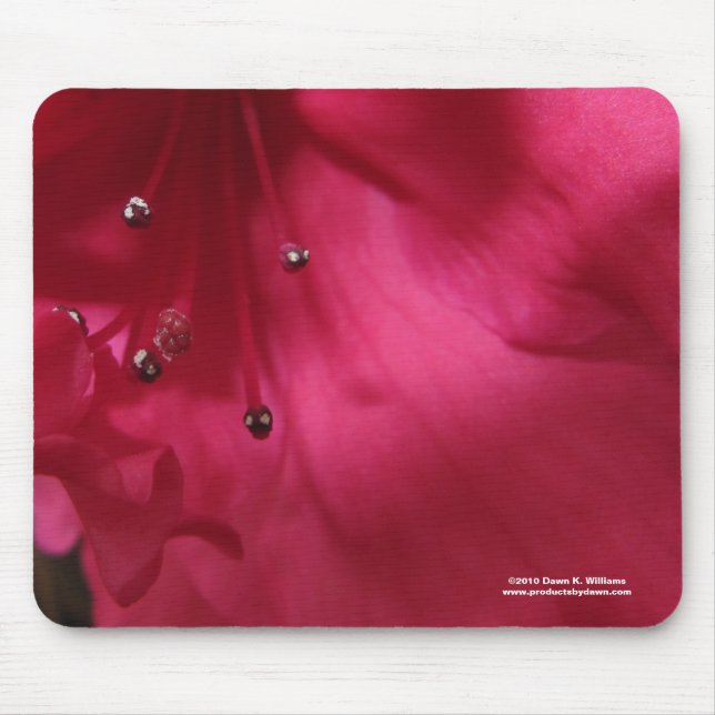Hibiskus Mousepad (Vorne)