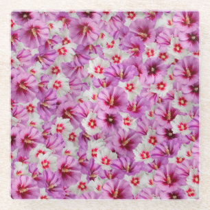 Hibiskus - Muster der chinesischen Rose Blume Glasuntersetzer