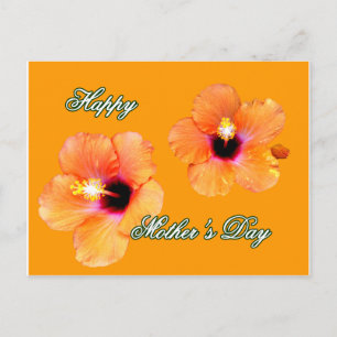 Hibiskus Orange bg The m Postkarte