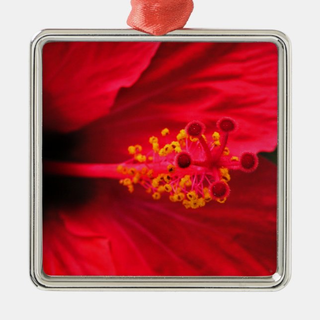 Hibiskus Ornament Aus Metall (Vorne)