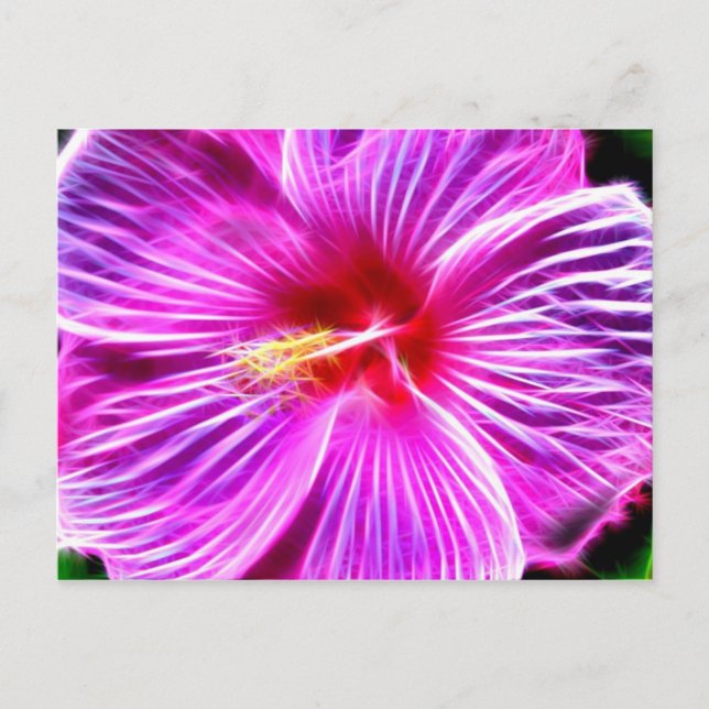 Hibiskus Postkarte (Vorderseite)