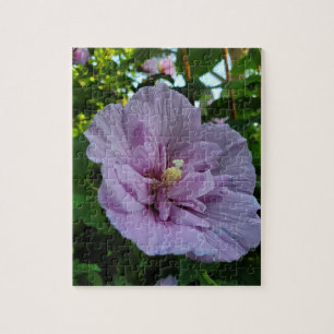 Hibiskus Puzzle