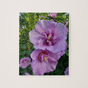 Hibiskus Puzzle