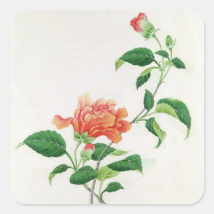 Hibiskus Quadratischer Aufkleber