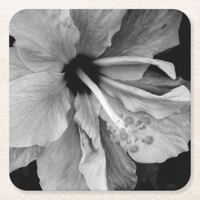 Hibiskus Rechteckiger Pappuntersetzer (Vorderseite)