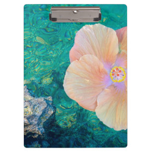 Hibiskus Rosa Blume türkis Ozean Hawaii Klemmbrett