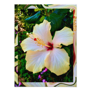 Hibiskus-Schönheit Fotodruck