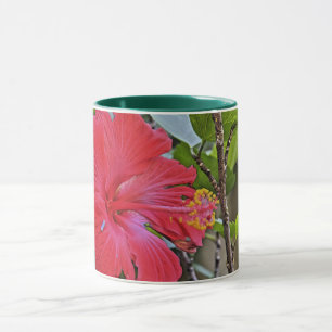 Hibiskus Stillleben Tasse