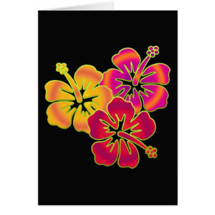 Hibiskus Trio   BG schwarz