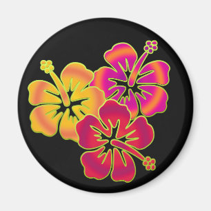 Hibiskus Trio BG schwarz Magnet