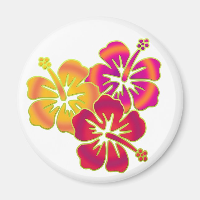 Hibiskus Trio Magnet (Vorne)