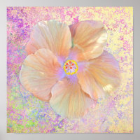 Hibiskus tropische Blume iridescent aussehen rosa 