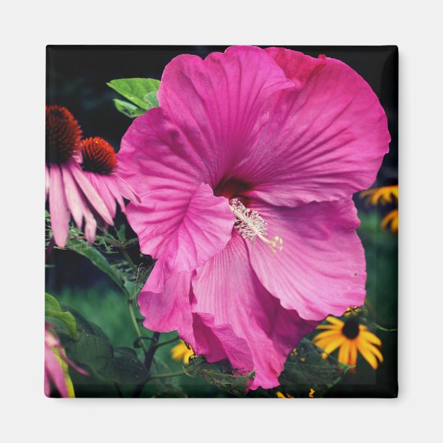 Hibiskus- und Freundschafts-Blumengarten  Magnet (Vorne)
