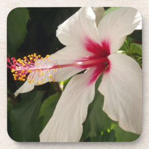 Hibiskus Untersetzer
