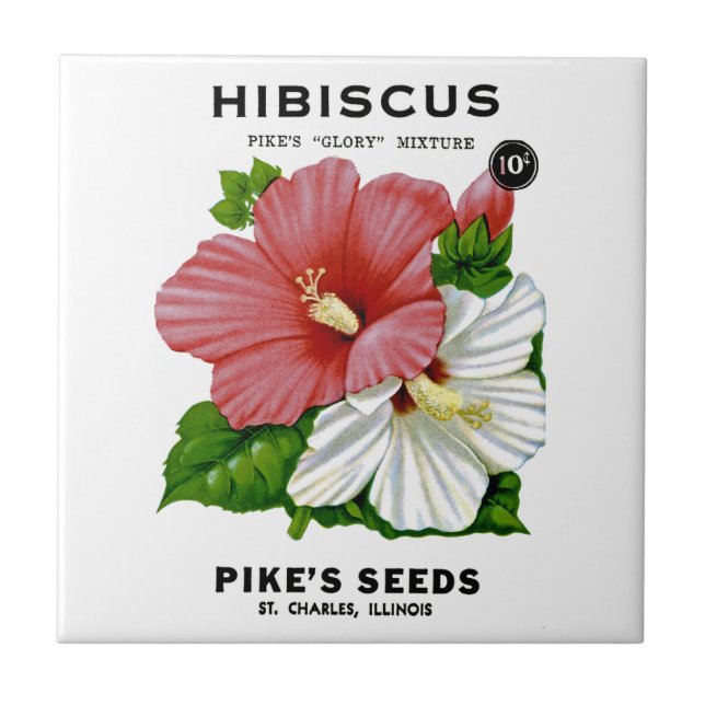 Hibiskus-Vintages Samen-Paket Fliese (Vorderseite)