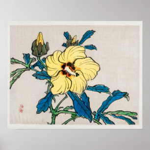 Hibiskus von Kōno Bairei (1844-1895) Poster