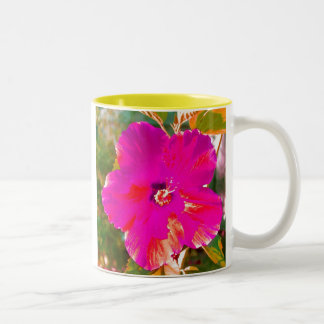 Hibiskus Zweifarbige Tasse