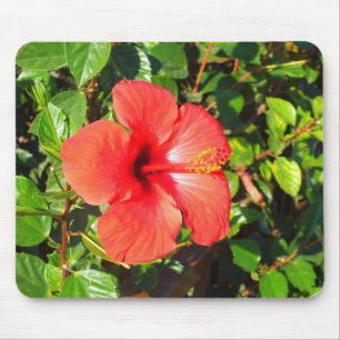 Hibiskusblüte Mousepad