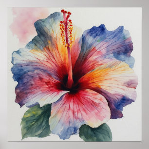 Hibiskusblüte Poster