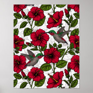 Hibiskusblüten und Kolibris Poster